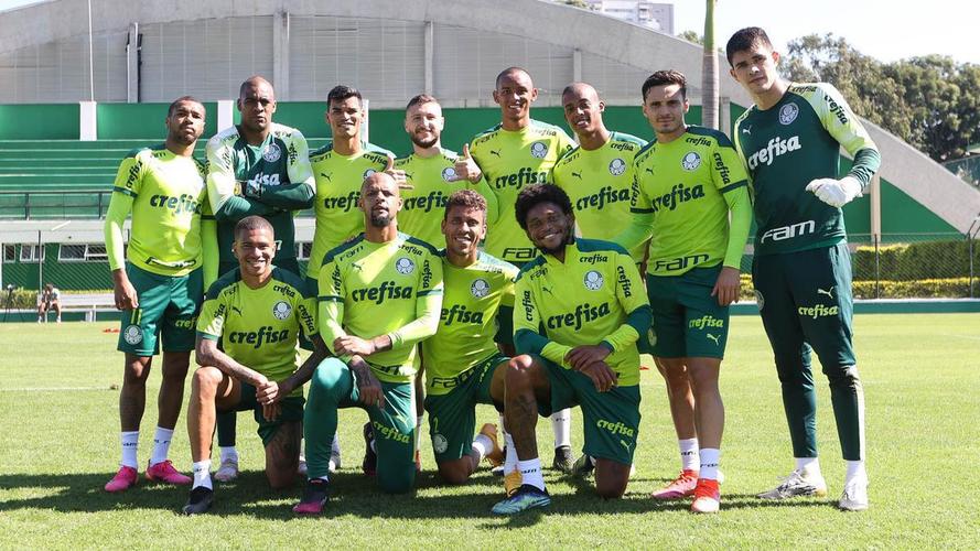 9 - Palmeiras