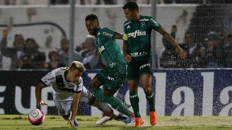 Palmeiras/divulgao