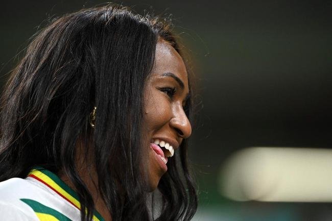 Fotos dos torcedores de Senegal e Holanda durante jogo pelo Grupo A da Copa do Mundo.