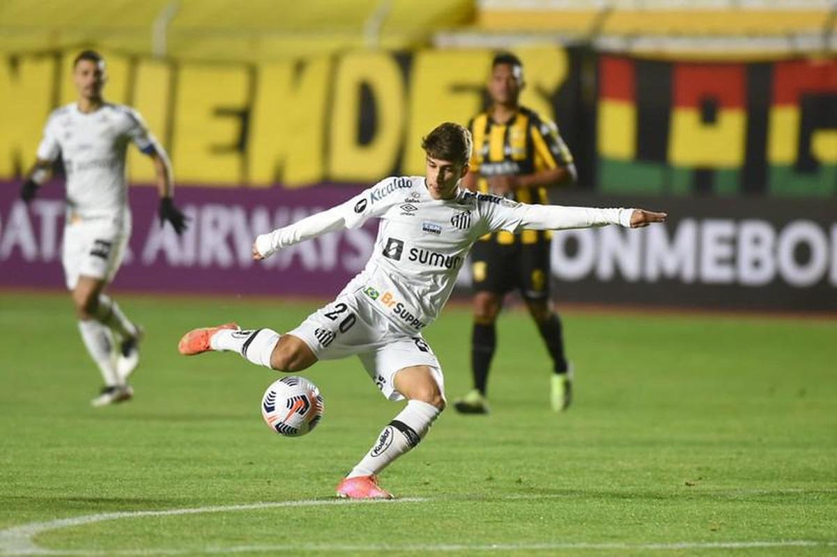 Gabriel Pirani - Meia