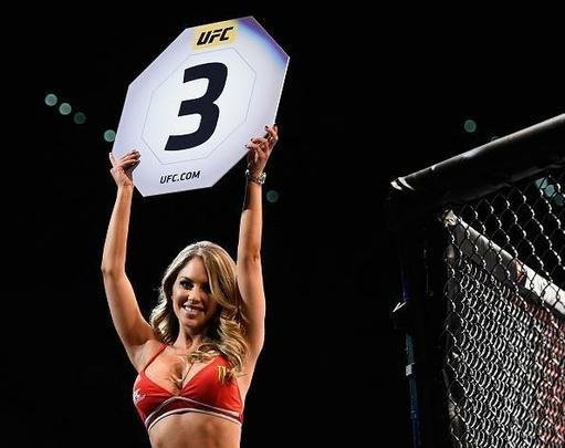 Octagon girl Brittney Palmer