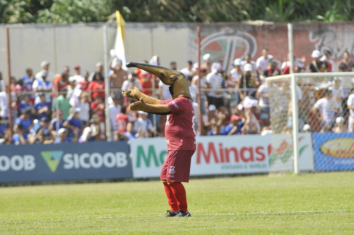 Tamandu, mascote do Guarani, e Raposo, mascote do Cruzeiro, no estdio Fario