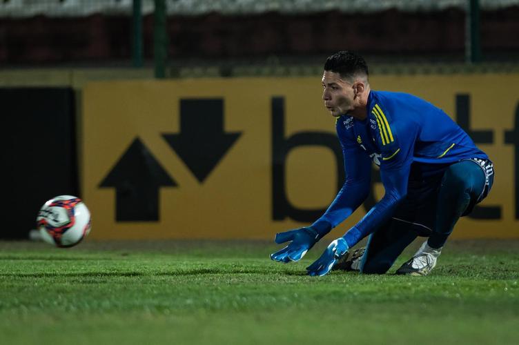 Cruzeiro treinou na Arena do Jacaré, em Sete Lagoas, local do jogo desta quinta, 19h, contra o Operário-PR, pela 24ª rodada da Série B do Brasileiro; veja imagens da atividade comandada pelo técnico Vanderlei Luxemburgo