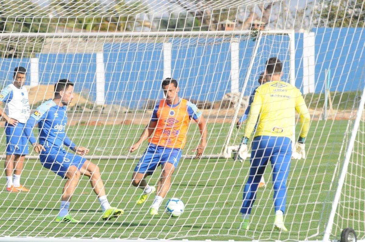 Cruzeiro fez nesta segunda-feira  tarde, na Toca da Raposa II, o ltimo treino em Belo Horizonte antes da partida contra o Internacional, quarta, no Beira-Rio, pela semifinal da Copa do Brasil. O tcnico Rogrio Ceni deve escalar Fbio; Edilson, Ded, Fabrcio Bruno (Leo) e Egdio (Dod); Henrique e Robinho; Marquinhos Gabriel; Thiago Neves e David; Pedro Rocha. Servindo  Seleo Colombiana, Orejuela est fora do jogo.