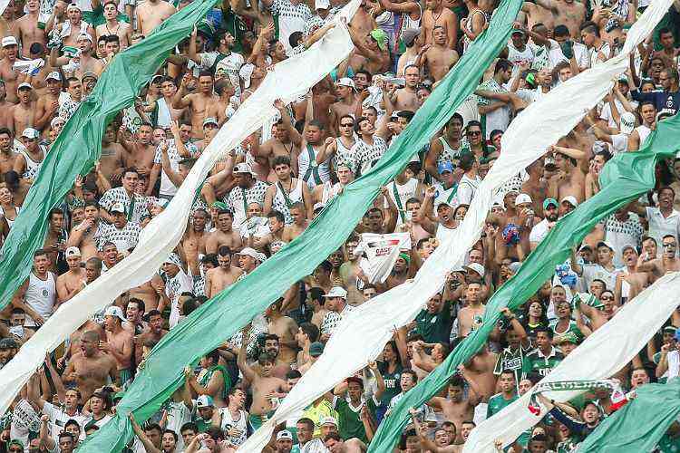 Csar Greco / Palmeiras / Divulgao