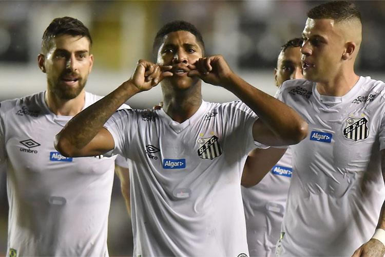 (Foto: Ivan Storti/Santos ) (Foto: Ivan Storti/Santos )