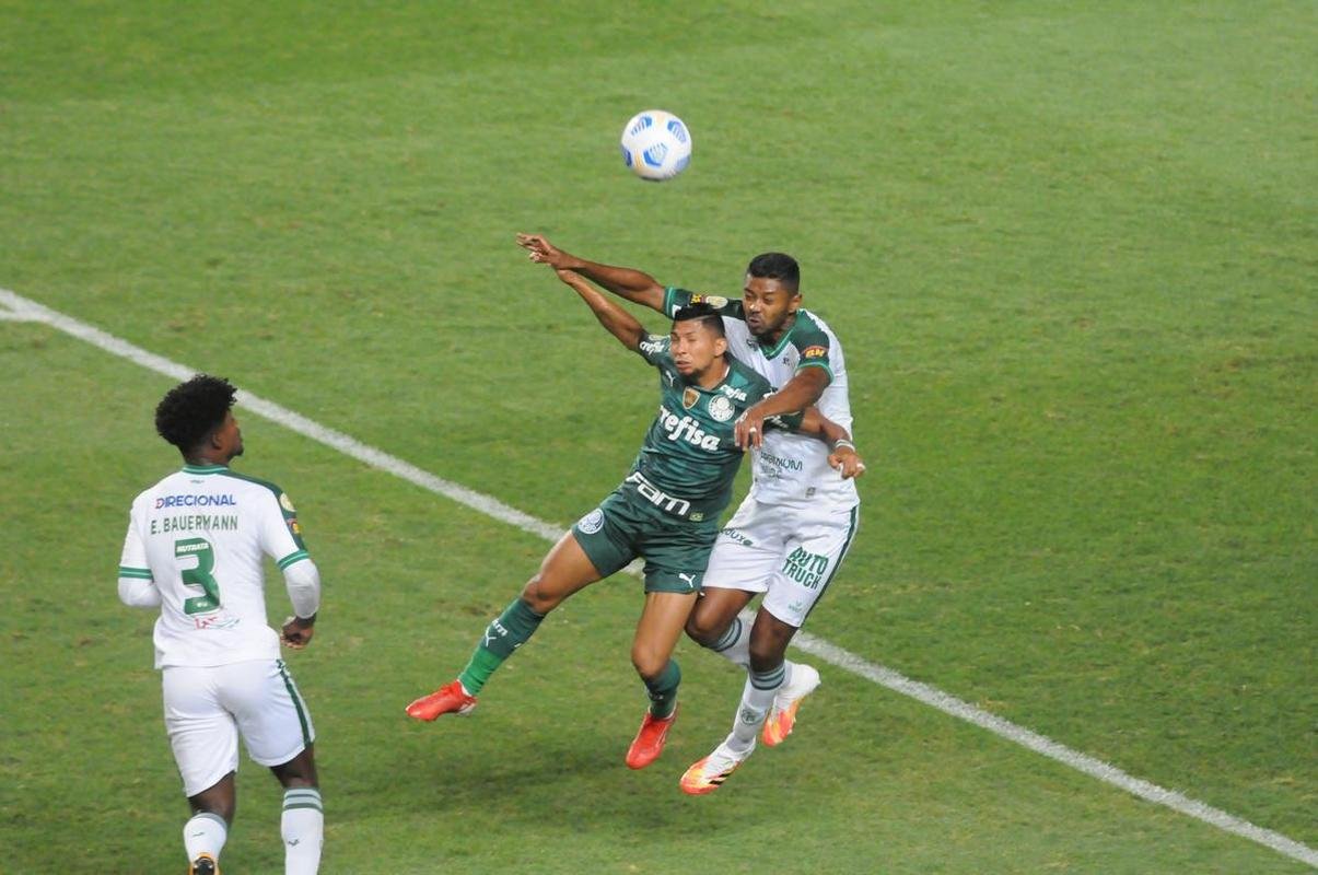 Fotos do jogo entre Amrica e Palmeiras, no Independncia, em Belo Horizonte, pela 24 rodada do Campeonato Brasileiro