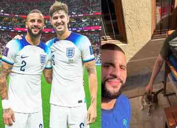 Zagueiro John Stones e lateral Kyle Walker levarão felino para Manchester após animal se tornar mascote da Seleção Inglesa na Copa do Mundo