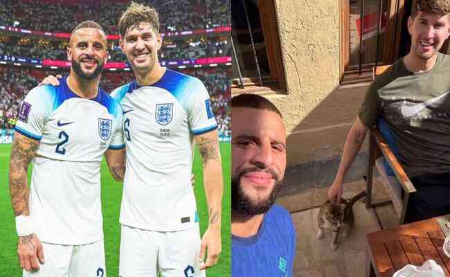 Gato virou mascote da Inglaterra na Copa do Mundo