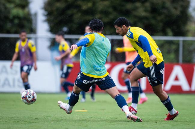 Jogadores do Cruzeiro treinaram na manhã deste domingo na Toca da Raposa II