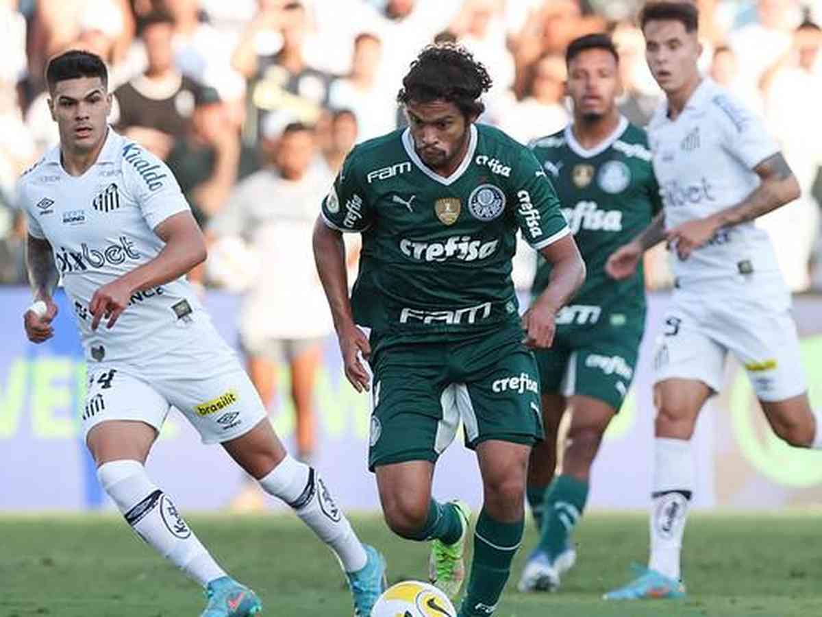 Santos x Palmeiras: saiba onde assistir ao jogo do Brasileirão