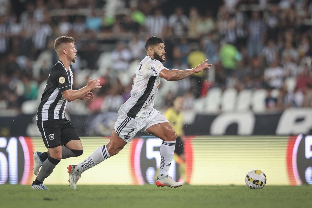 Botafogo x Atltico: veja fotos do jogo no Nilton Santos