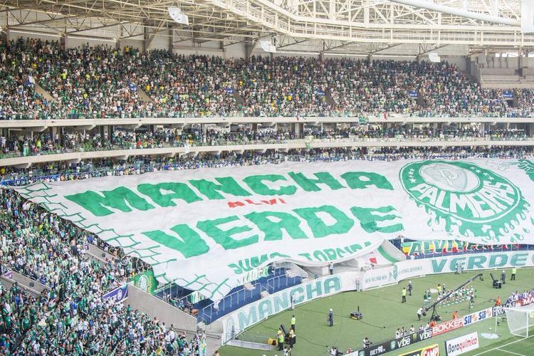 (Foto: Reprodução/Palmeiras) (Foto: Reprodução/Palmeiras)