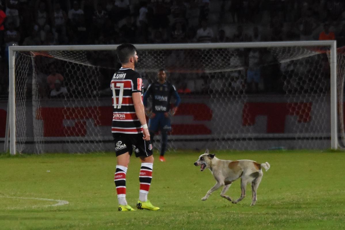 Em jogo movimentado, Santa Cruz e Treze se enfrentaram pela estreia da Série C de 2019. O time paraibano saiu à frente no primeiro tempo, com vantagem de 2 a 0 no placar. Com a virada após o intervalo, o Santa Cruz pressionou, mas o empate só viria após a invasão de um cachorro. Batizado depois de 'Pipicão', o cão foi retirado de campo pelo goleiro Anderson, e daí por diante o Santa empatou com gols de Neto Costa e Guilherme Queiroz, ambos reservas da equipe na ocasião.