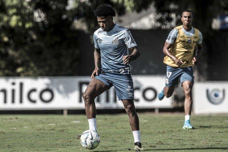 (Foto: Ivan Storti/Santos)