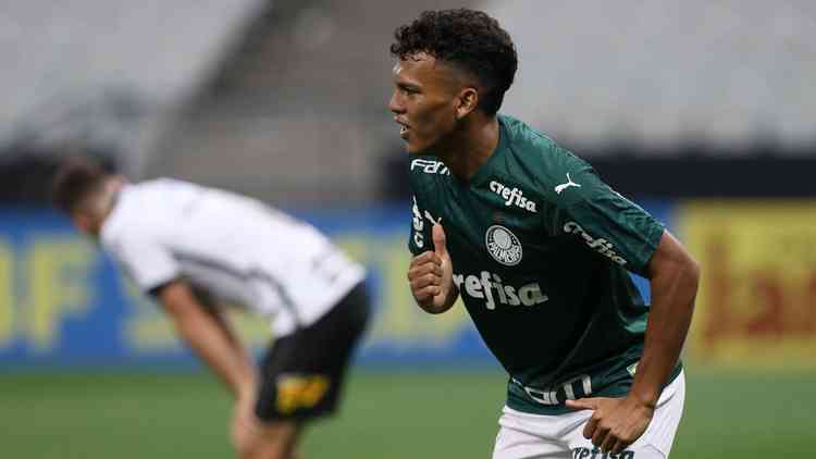 (Foto: Divulgao/Palmeiras)