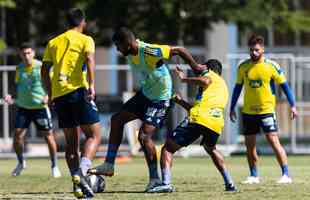 Cruzeiro encerrou a preparao para a ltima rodada do Campeonato Mineiro; Raposa precisa vencer