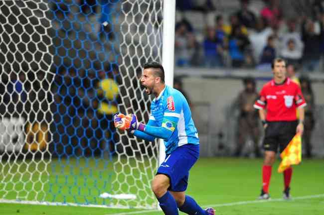 Em 2015, Fábio foi o herói da classificação do Cruzeiro nas oitavas de final da Libertadores, sobre o São Paulo, ao defender dois pênaltis. Na ocasião, ele pegou uma cobrança de Luís Fabiano pela terceira vez na carreira