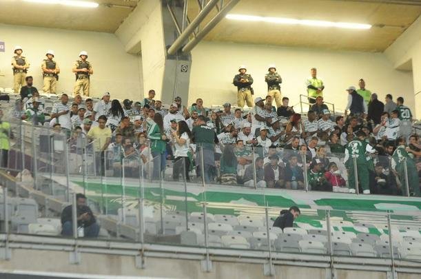 Palmeirenses tambm marcaram presena no Mineiro