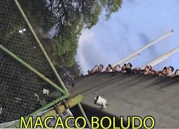 Delegação do Galo foi recebida sob gritos de "macaco" no Estádio Olímpico UCV, em Caracas, na Venezuela, antes de jogo com Carabobo pela Libertadores