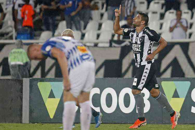 (Foto: Vitor Silva/Botafogo FR)