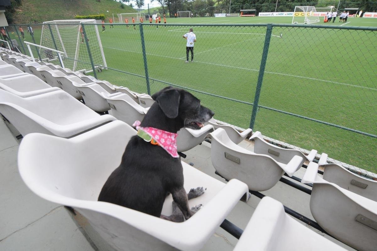Fotos do Atltico nesta quinta-feira, na Cidade do Galo