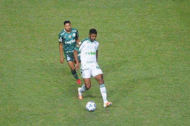 Fotos do jogo entre Amrica e Palmeiras, no Independncia, em Belo Horizonte, pela 24 rodada do Campeonato Brasileiro