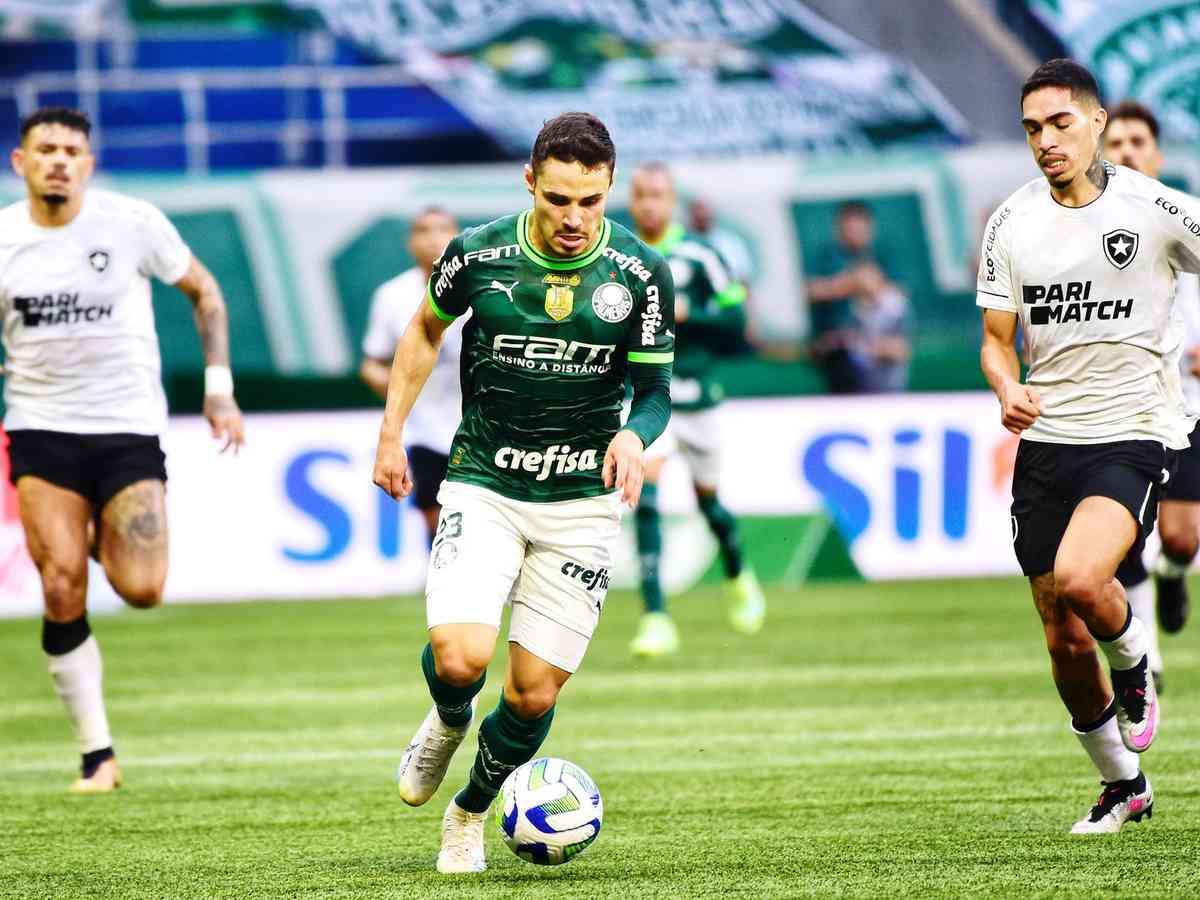 Palmeiras sofre derrota para o Botafogo no Allianz Parque pelo Brasileirão  – Palmeiras