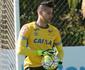 Enquete: com a grave leso sofrida pelo goleiro Fbio, o que o Cruzeiro deve fazer?