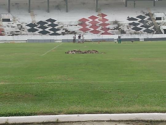 Na manh desta quarta-feira, funcionrios do Santa Cruz fizeram trabalho de recuperao do gramado do Arruda com o intuito de deixar o piso apto a receber o Clssico das Emoes, que ser realizado no prximo dia 23