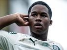 Diretor do PSG est no Brasil para ver de perto Endrick, do Palmeiras