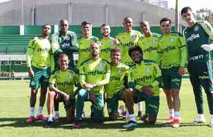 9 - Palmeiras