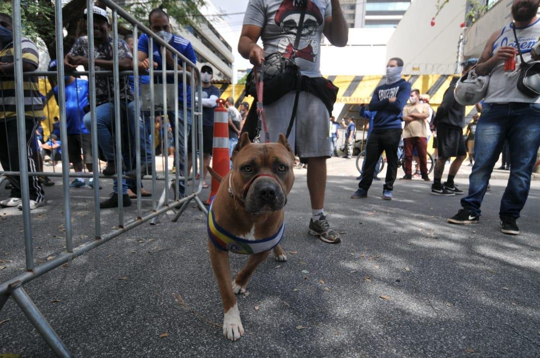 Alexandre Guzanshe/EM/DA Press