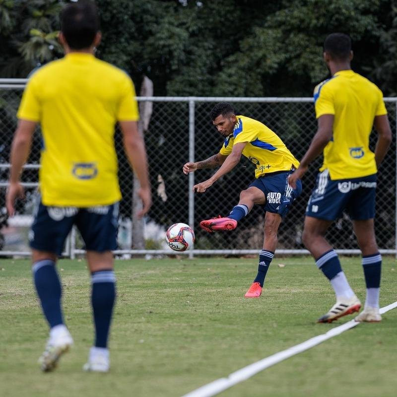 Comisso tcnica de Vanderlei Luxemburgo comandou treino na Toca da Raposa II nesta quarta-feira. Time se prepara para enfrentar o Brusque, s 11h de sbado, no estdio Augusto Bauer, em Santa Catarina, pela 16 rodada da Srie B.