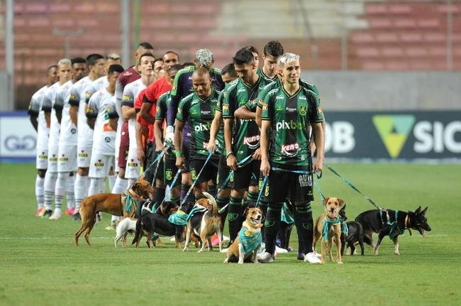 Fotos de Amrica x Athletic, no Independncia, pelo Campeonato Mineiro