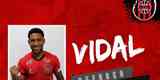 Vidal, lateral-direito (Brasil de Pelotas)