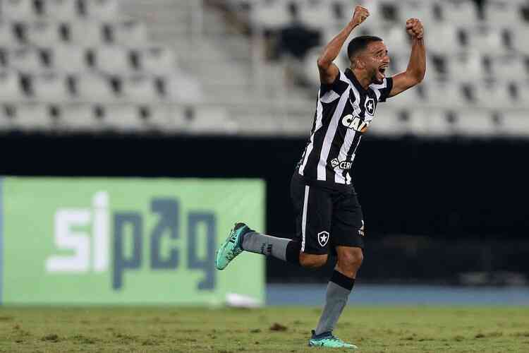 (Foto: Divulgao/Botafogo)