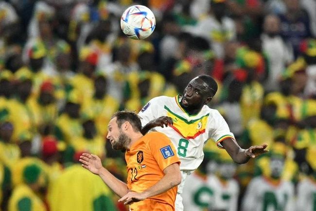Fotos do jogo entre Senegal e Holanda no Estdio Al Thumama, pelo Grupo A da Copa do Mundo, no Catar