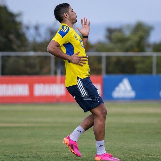 Comisso tcnica de Vanderlei Luxemburgo comandou treino na Toca da Raposa II nesta quarta-feira. Time se prepara para enfrentar o Brusque, s 11h de sbado, no estdio Augusto Bauer, em Santa Catarina, pela 16 rodada da Srie B.
