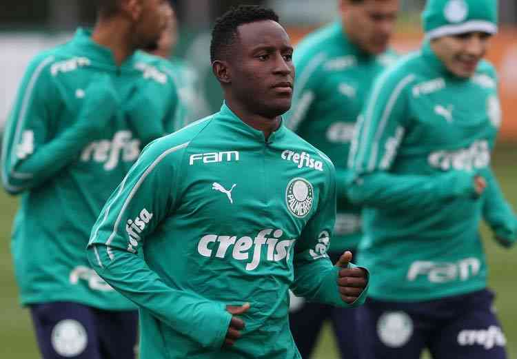 Palmeiras pode ter novidade e confia em jogadores 100% na Libertadores -  Superesportes