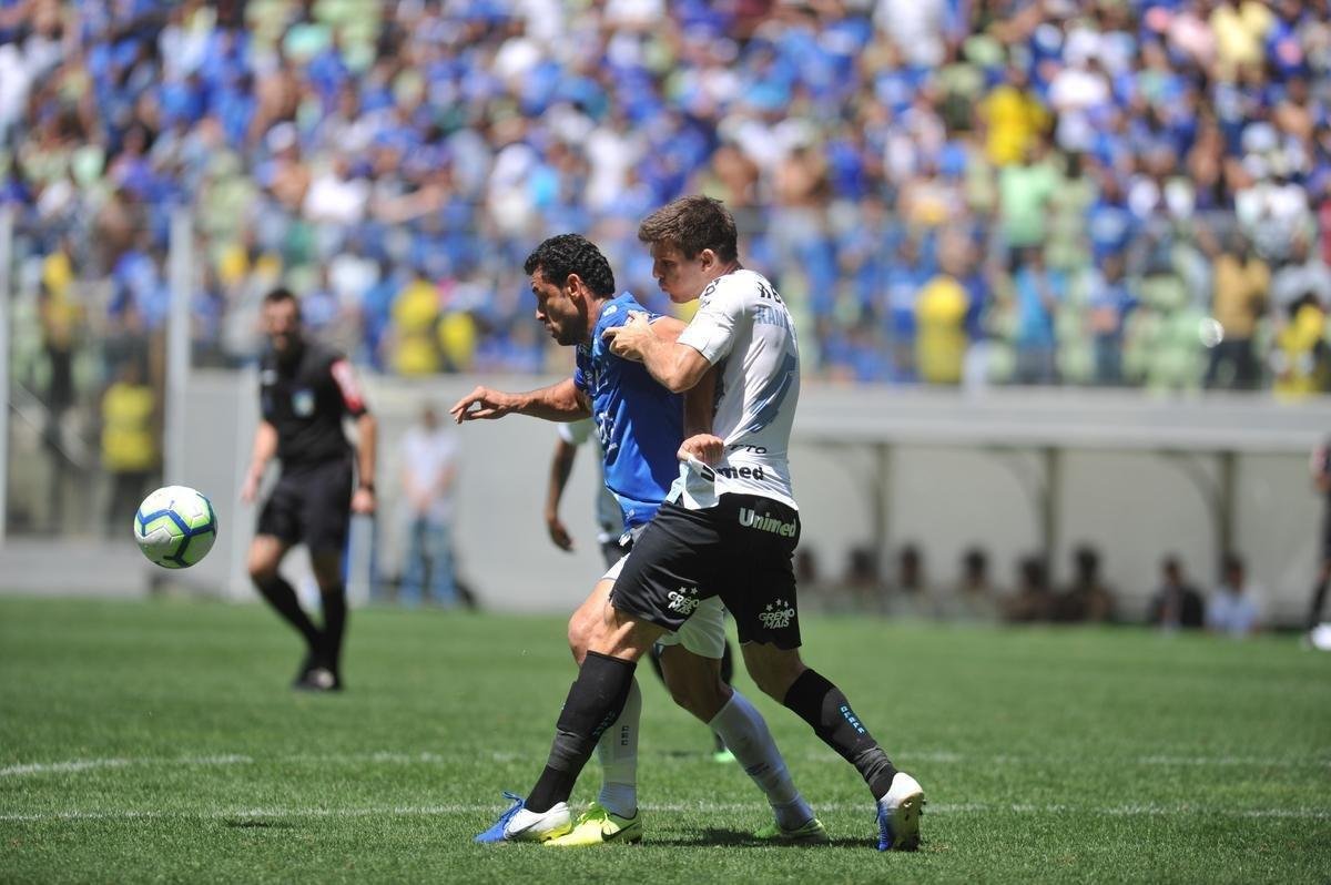 Segurana do Cruzeiro tenta impedir protesto de torcedor na arquibancada do Independncia