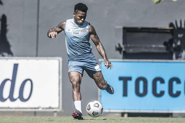 (Foto: Ivan Storti/Santos FC) (Foto: Ivan Storti/Santos FC)
