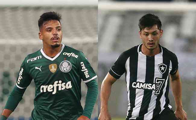 Palmeiras e Botafogo se enfrentarão no Allianz Parque pela décima rodada da Série A