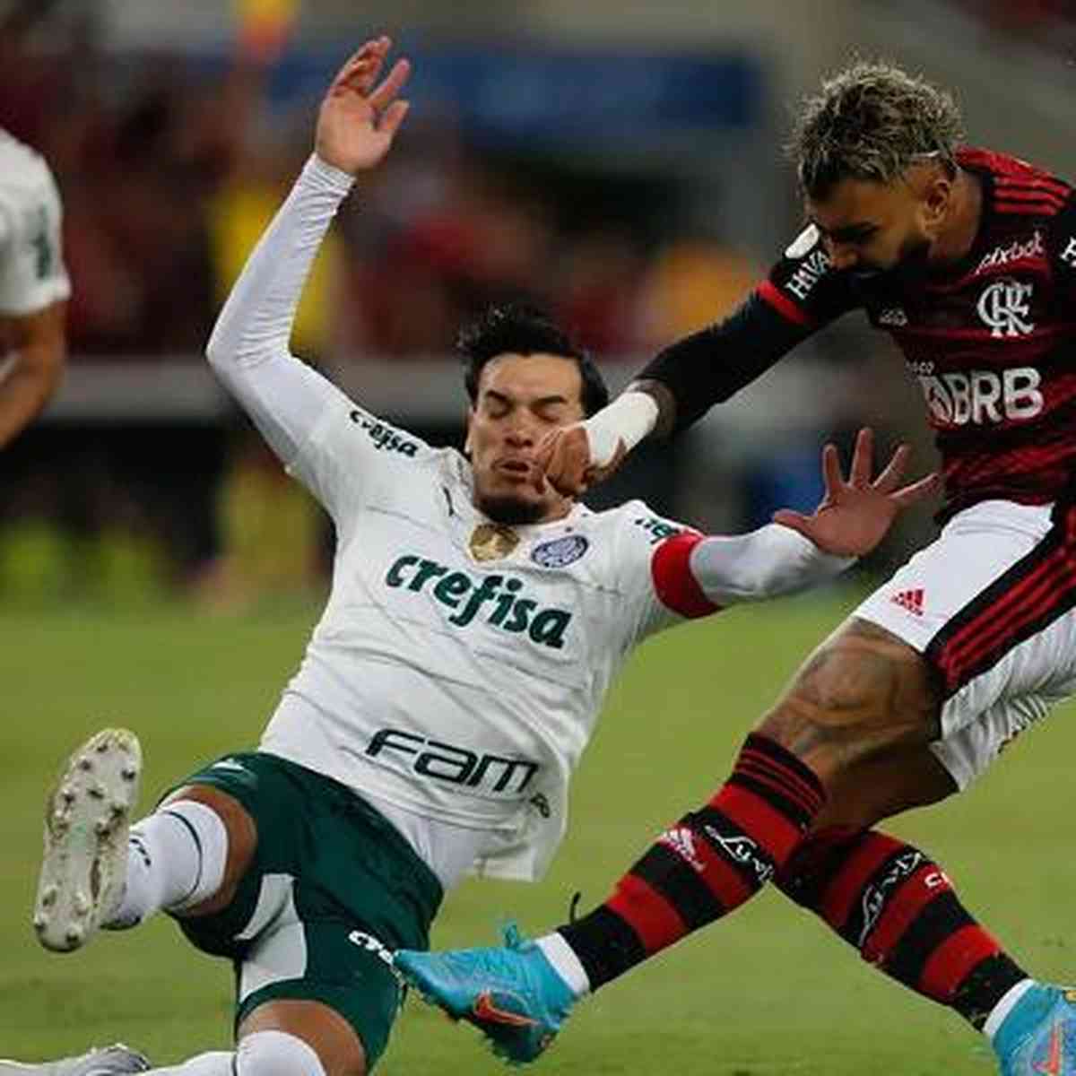 Palmeiras VOLTA A JOGAR HOJE após TÍTULO da Supercopa; Flamengo