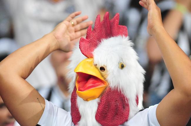 Se Galo e Palmeiras repetirem últimos jogos, decisão será nos pênaltis