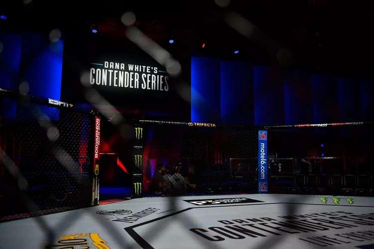 (Foto: UFC/Reprodução) (Foto: UFC/Reprodução)