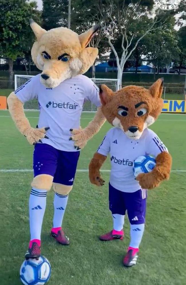 Raposão e Raposinho em 2023