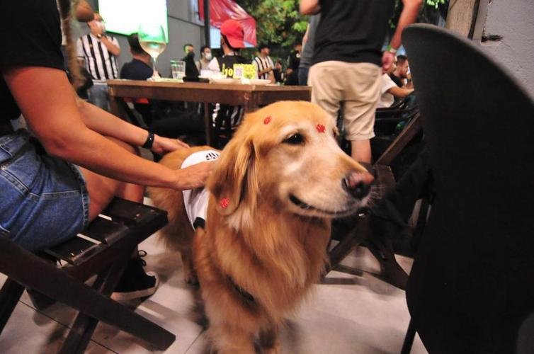 Atleticanos acompanharam Flamengo 2x1 Ceará nos bares de Belo Horizonte, na expectativa de comemorar o título antecipado do Campeonato Brasileiro. No entanto, o rival carioca venceu o time nordestino e adiou a festa atleticana.