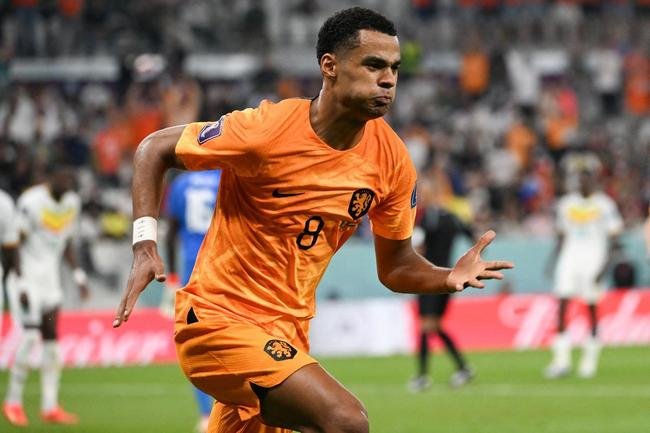 Primeiro gol da Holanda foi marcado por Cody Gakpo 
