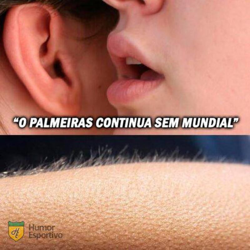 Veja os memes da derrota do Palmeiras para o Chelsea, por 2 a 1, na final do Mundial de Clubes